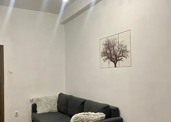 Kira's Group - 8 Units For Up To 38 Guests Бухарест