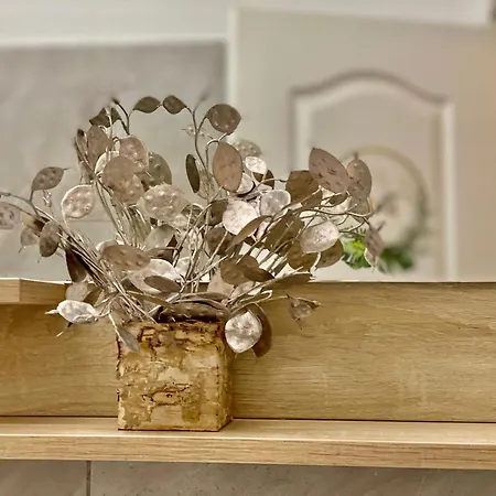 Apartment Kira's Group - 8 Units For Up To 38 Guests Bukarest