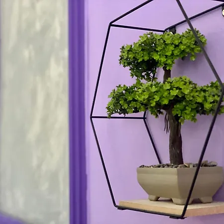 Kira's Group - 8 Units For Up To 38 Guests *