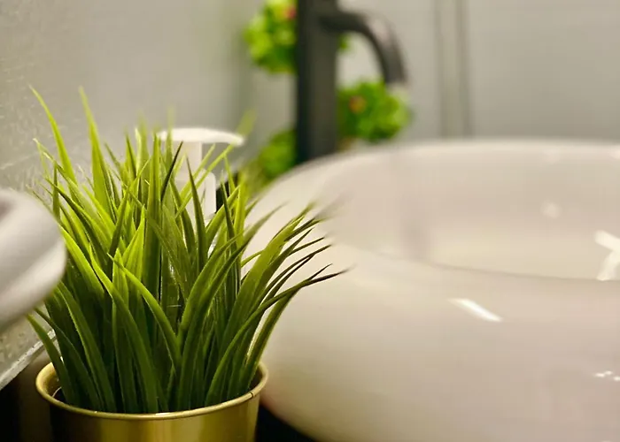 Kira's Group - 8 Units For Up To 38 Guests * ブカレスト